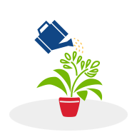 homemaking-plants-gray-drop